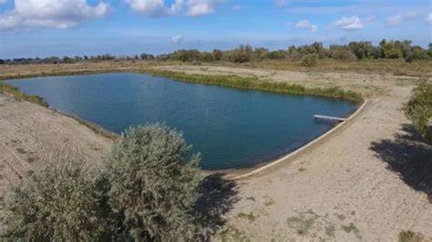 The 3 Most Common Types of Earthen Ponds … - raincitystudios.com