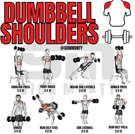 The 30-Minute Dumbbell Shoulder Workout - Muscle & Fitness - balustradellc