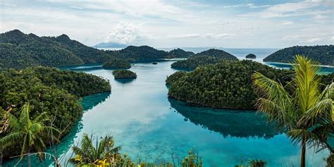 The 39 best nature near Jakarta - Wanderlog - balustradellc