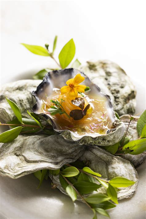 The 4 Best Chef’s Knives of 2026 | Reviews by Wirecutter - balustradellc