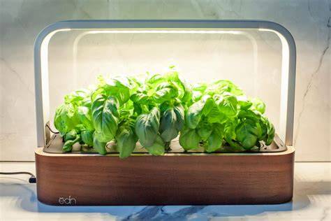 The 4 Best Indoor Gardens, Tested and Reviewed - raincitystudios.com