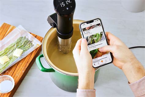 The 4 Best Sous Vide Machines, Tested and Reviewed - balustradellc