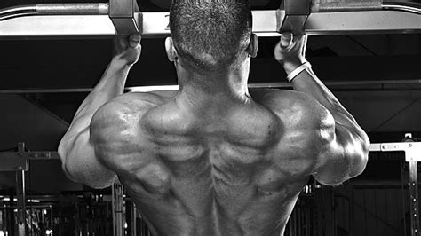 The 4 Levels of Pull-Up Power - T NATION - balustradellc