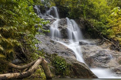 The 43 best nature near Kuala Lumpur - Wanderlog - balustradellc