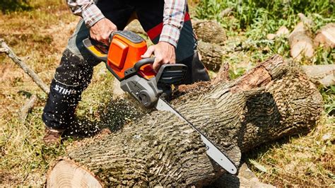 The 5 Best Chainsaws of 2026 | Reviews by Wirecutter - balustradellc