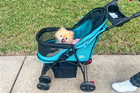 The 5 Best Dog Strollers of 2026, Tested and Reviewed - balustradellc