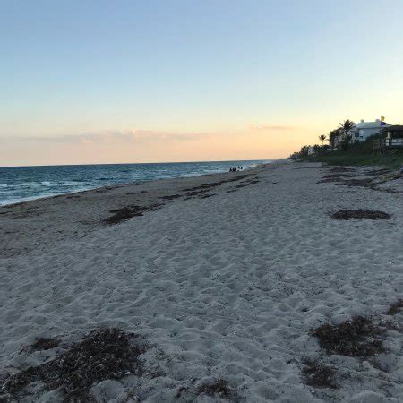 THE 5 BEST Delray Beach Parks (with Photos) - Tripadvisor