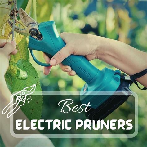 The 5 Best Electric Pruning Shears for 2024 - balustradellc