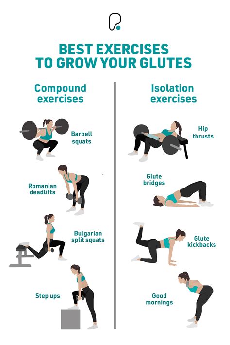 The 5 Best Glute Exercises For Your Home Gym … - balustradellc