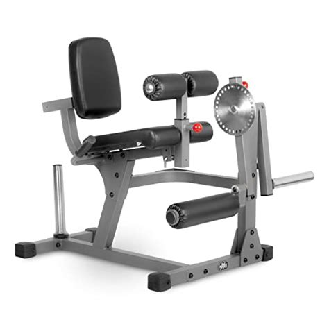 The 5 Best Leg Curl Machines [Ranked] - balustradellc