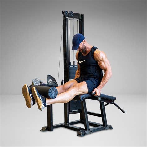 The 5 Best Leg Extension and Curl Combo Machines for Home Gyms - balustradellc