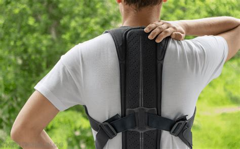 The 5 Best Posture Correctors [Ranked] - balustradellc