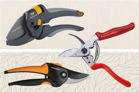 The 5 Best Pruning Shears Our Editors Recommend - balustradellc