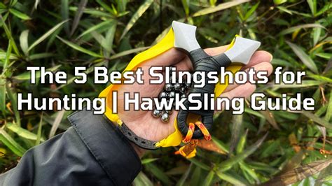 The 5 Best Slingshots for Hunting | HawkSling Guide - balustradellc