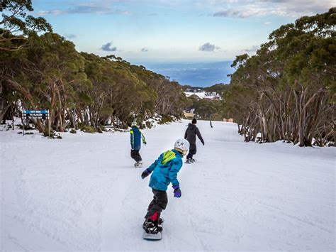 THE 5 BEST Things to Do in Mount Baw Baw - Tripadvisor