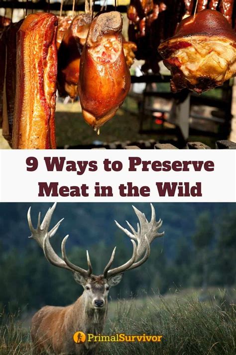 The 5 Best Ways to Preserve Meat in the Wild - balustradellc
