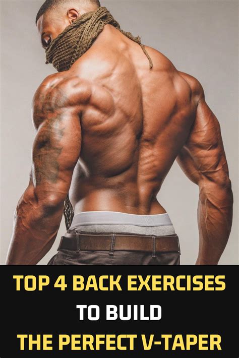 The 5 PERFECT Exercises for Growing a V-Taper Back - balustradellc