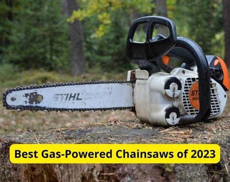The 6 Best Gas Chainsaws 2026 - This Old House - balustradellc