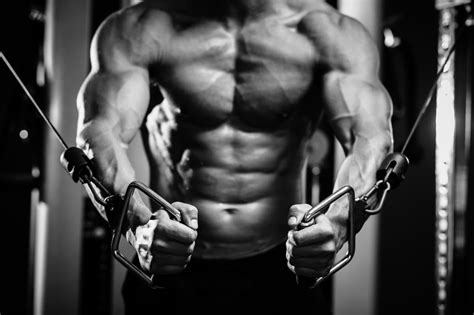 The 6 Best Pro-Tips To Building Muscles - HealthifyMe Blog - balustradellc