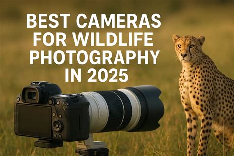 The 7 Best Cameras for Wildlife Photography (2026) - balustradellc
