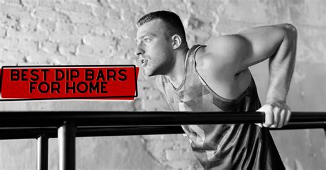 The 7 Best Dip Bars for Home - Garage Gym Revisited - balustradellc