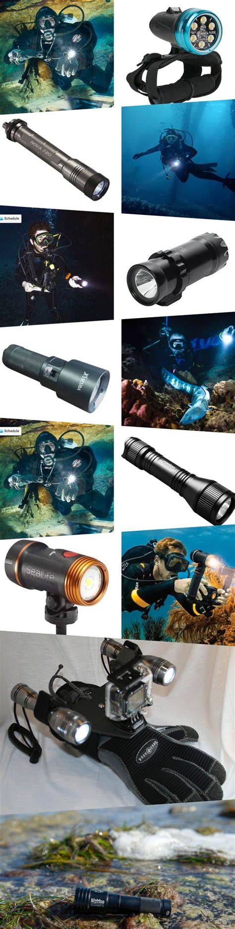 The 7 Best Dive Lights for Underwater … - raincitystudios.com