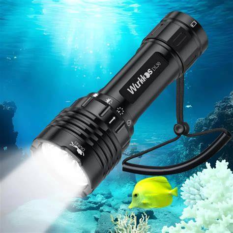 The 7 Best Dive Lights for Underwater Exploration - Snorkel Story - raincitystudios.com