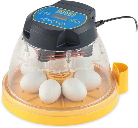 The 7 Best Egg Incubators in 2025 - Rhythm of the Home - balustradellc