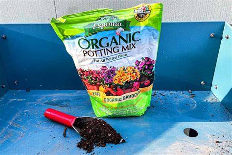 The 7 Best Soils for Indoor Plants The Spruce Has Tested - raincitystudios.com