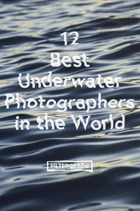 The 7 Best Underwater Photographers - Photography … - raincitystudios.com