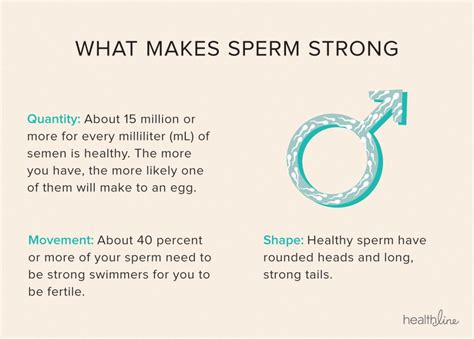 The 7-Step Checklist to Healthy, Fertile Sperm - balustradellc