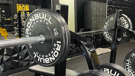 The 8 Best Barbells For Your Home Gym In 2026 - balustradellc