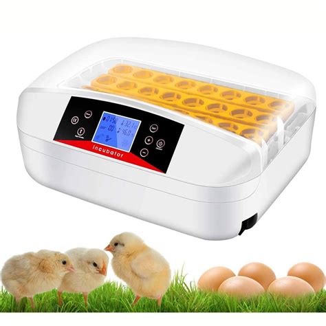 The 8 Best Chicken Egg Incubators for 2025 - Which … - balustradellc