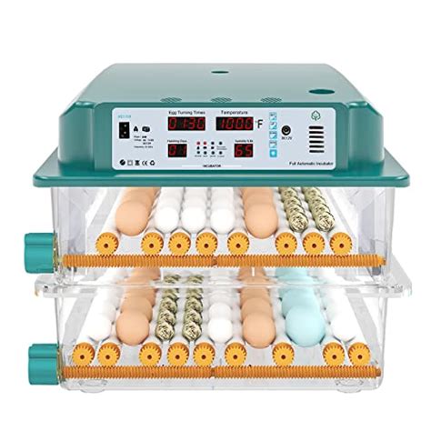 The 8 BEST Egg Incubators in 2026 - The … - balustradellc