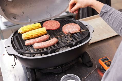 The 8 Best Portable Grills, Tested and Reviewed - Food & Wine - balustradellc