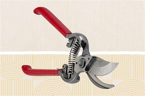 The 8 Best Pruning Shears - Top Garden Shears - Popular Mechanics - balustradellc