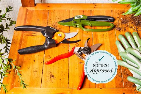 The 8 Best Pruning Shears The Spruce Has Tested - balustradellc