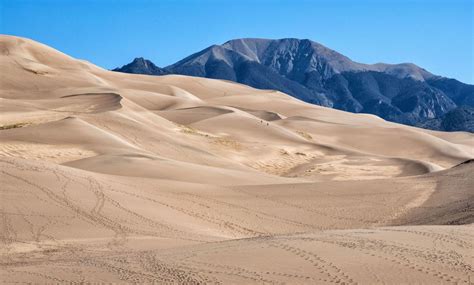 The 8 Best Things to Do in Great Sand Dunes ... - Nichole the Nomad - balustradellc