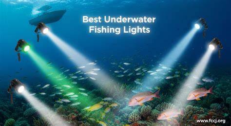 The 8 Best Underwater Video Lights of 2026 - raincitystudios.com