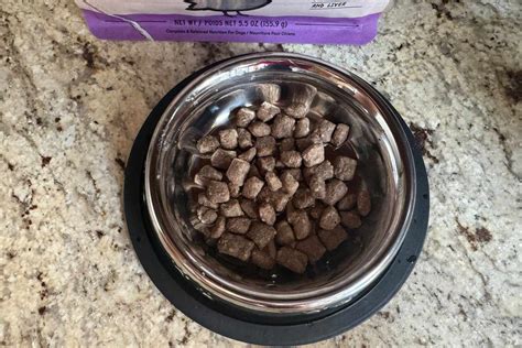 The 9 Best Freeze-Dried Dog Foods of 2026 - The … - balustradellc