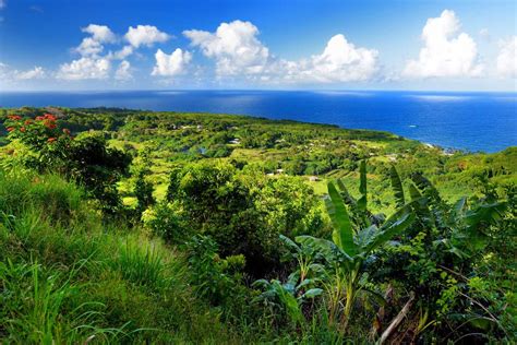 The 9 Best Hiking Trails With Ocean Views On Maui - balustradellc