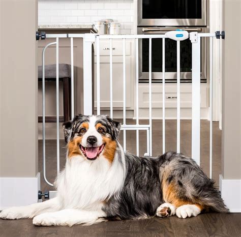 The 9 Best Pet Gates for Stairs - balustradellc