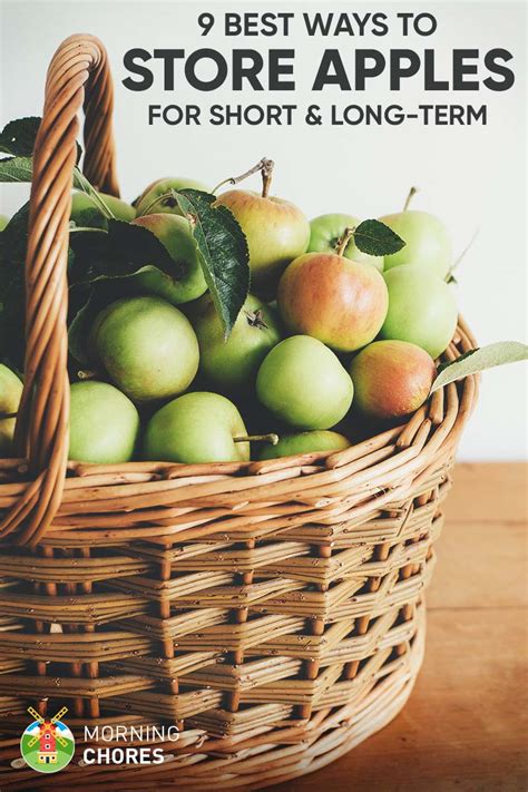 The 9 Best Ways To Store & Protect Your U.S. Coins | U.S. Coins Guide - balustradellc