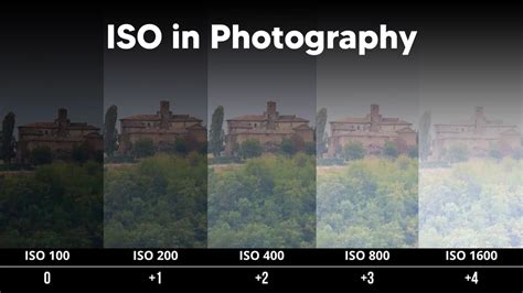 The A to Z of Photography: ISO - TechRadar - balustradellc