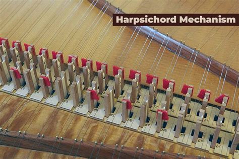 The Acoustics of the Harpsichord - JSTOR - wintechmobiles.com