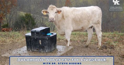 The Advanced Automatic Watering System for Cattle - balustradellc