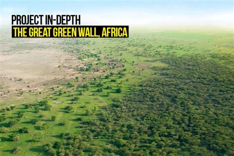 The Africa’s Great Green Wall Project - Animals Around … - raincitystudios.com