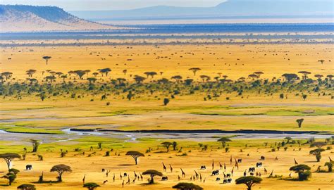 The African Savannah - ArcGIS StoryMaps - balustradellc