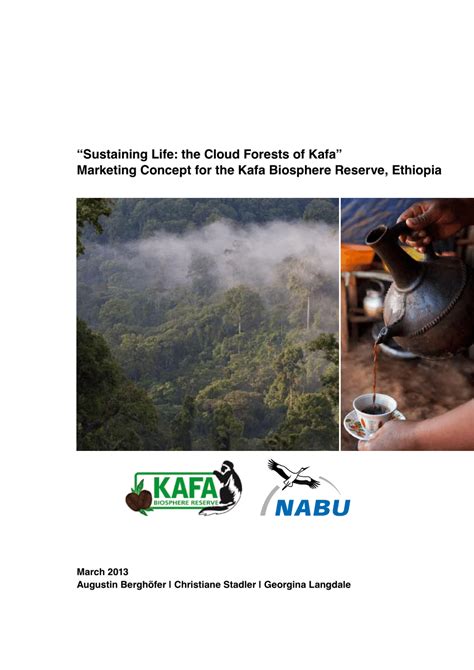 The Afromontane Cloud Forests of Kafa Nature Reserve - raincitystudios.com