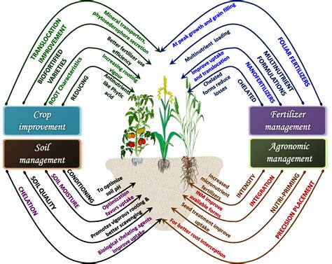 The agronomic and environmental assessment of soil ... - Springer - muktibox.com